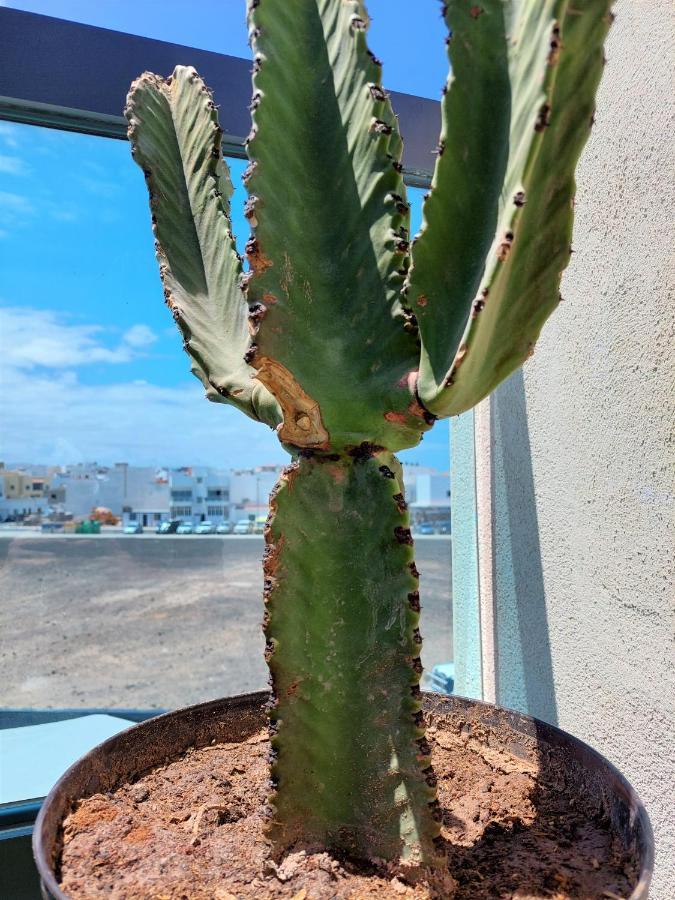Deep Blue Cotillo III By Sea You There Fuerteventura El Cotillo (Fuerteventura) Exterior foto